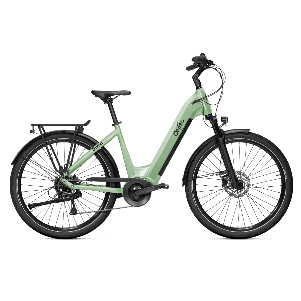 Duma-4-1200x1200-vert
